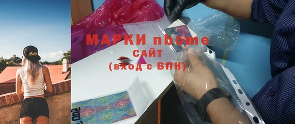 гидра Абаза