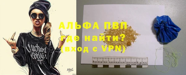 гидра Абаза
