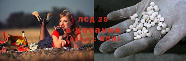 гидра Абаза