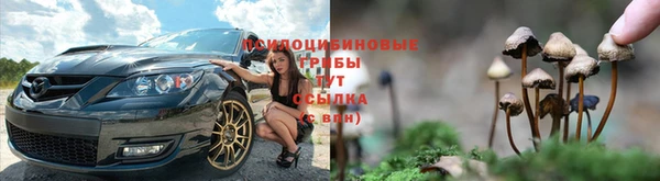 дурь Абинск