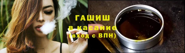 гидра Абаза