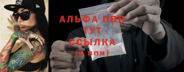 гидра Абаза