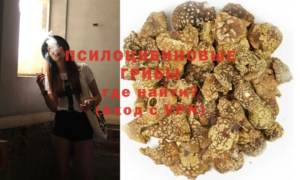 гидра Абаза