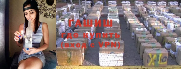 гидра Абаза