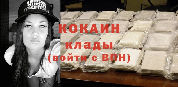 гидра Абаза