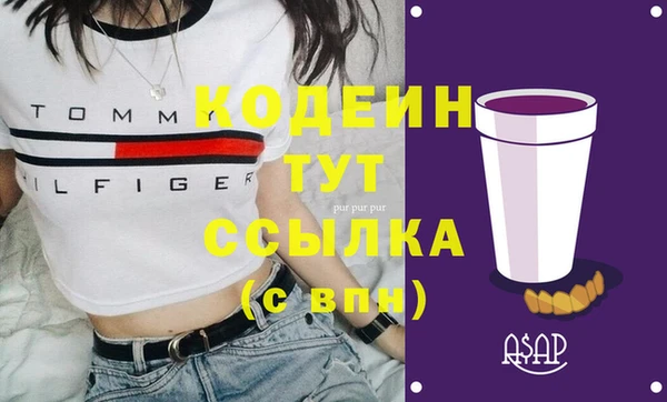 гидра Абаза