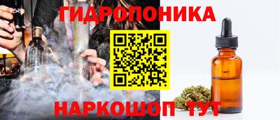круглые Кингисепп