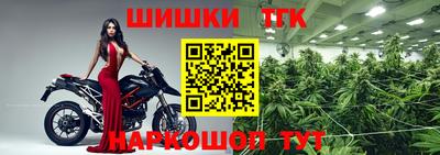 круглые Кингисепп