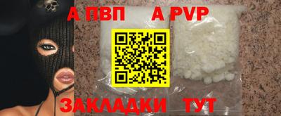 круглые Кингисепп