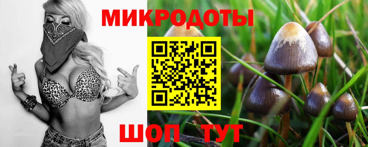 Кострома  Псилоцибиновые грибы Psilocybe  Вход с VPN 