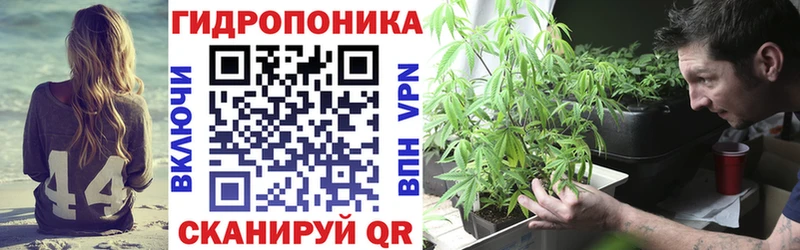 Каннабис конопля  ссылка на мегу ссылка  Кострома  где найти наркотики 